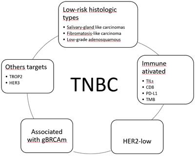 Triple-negative breast cancer: from none to multiple therapeutic targets in two decades